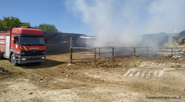 Aksaray'da 5 bin balya saman yandı