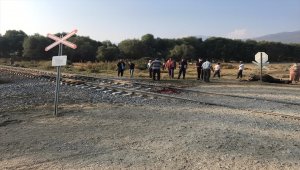 Akşehir'de yük treninin çarptığı sürüdeki 8 hayvan telef oldu