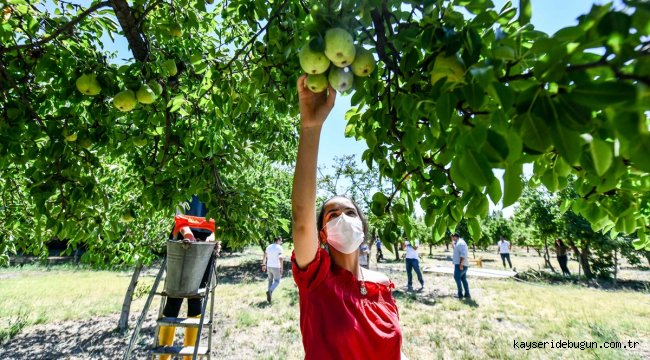 Ankara Büyükşehir Belediyesi ve hayırseverlerden ihtiyaç sahiplerine meyve desteği