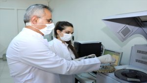 Arı kovanı havasının tedavi edici etkileri araştırıldı