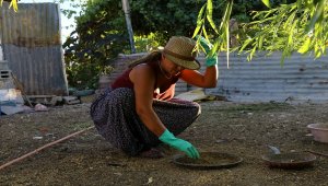 Babasının mirası inekler için kariyerinden vazgeçti