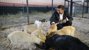 Başkan Arı, "Hayvan Kasabası"ndaki çalışmaları inceledi