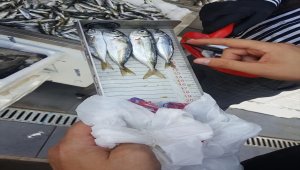 Beypazarı'nda gıda ve su ürünleri denetlendi