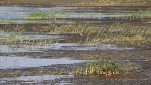 Beyşehir'de su seviyesinin düştüğü gölde regülatör kapakları kapatıldı