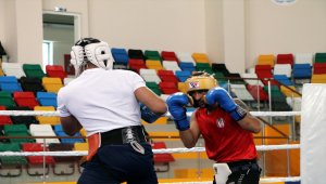 Boksta Türkiye ve İngiltere milli takımlarının ortak kampı Çankırı'da sürüyor