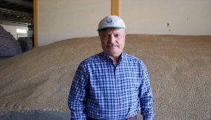 Devletin 1 milyon liralık desteğiyle memleketinde sertifikalı tohum üretiyor