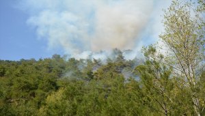 Eskişehir'de otomobilde çıkan yangın ormanlık alana sıçradı