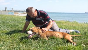 Felçli köpeğine her gün 2 saat antrenman yaptırıyor