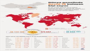 GRAFİKLİ - Dünya genelinde Kovid-19 tespit edilen kişi sayısı 26 milyon 817 bine yaklaştı
