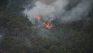 GÜNCELLEME - Eskişehir'de otomobilde çıkan yangın ormanlık alana sıçradı