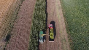 Hacıbektaş ilçesindeki proje sahasında ikinci ürün hasadı yapıldı