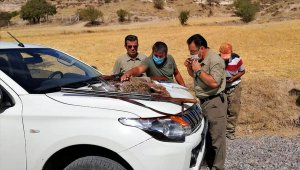 Kahramankazan'da avlanma dönemi dışında avlanan 2 kişi hakkında yasal işlem yapıldı 
