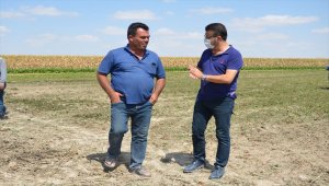 Karapınar'da pancar üreticileri tarlalarında ziyaret edildi