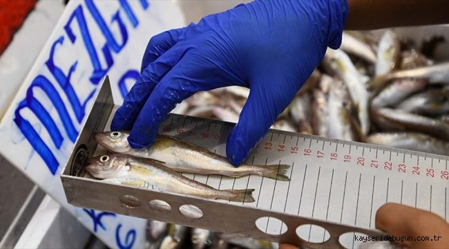 Kayseri'de boy yasağına uymayan balıkçılara 15 bin lira para cezası 