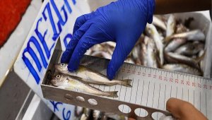 Kayseri'de boy yasağına uymayan balıkçılara 15 bin lira para cezası 