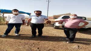 Kayseri'de yaralı bulunan 2 şahin tedavi altına alındı