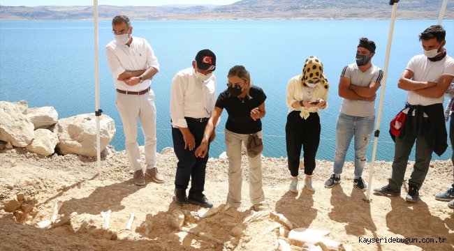Kayseri'deki kazılarda yeni tür fosillere ulaşıldı