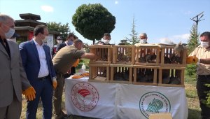 Kırıkkale'de 60 kınalı keklik doğaya salındı