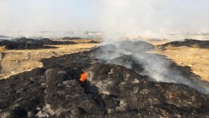 Konya'da 5 bin saman balyası yandı