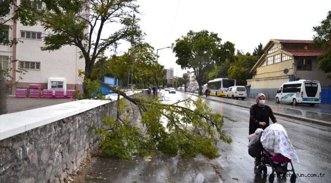 Konya'da fırtına hayatı olumsuz etkiledi
