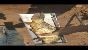 Konya'da gölet ve baraj gölünde olması gerekenden fazla sayıda oltayla avlanan kişilere ceza