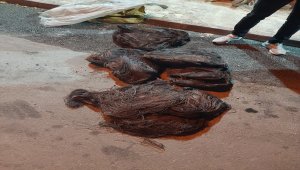 Konya'da kablo hırsızlığı şüphelileri güvenlik kamerasına takıldı