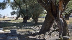 Kuruyan pınarlara güneş enerjisiyle su veriyorlar