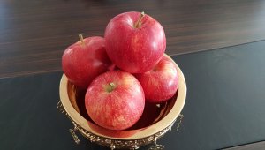 Niğde'de üretilen elmanın dünya pazarındaki rekabet gücü artacak