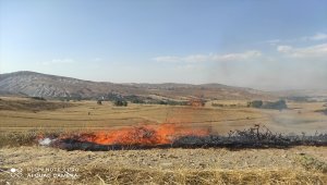 Şarkışla'da anız yangını 