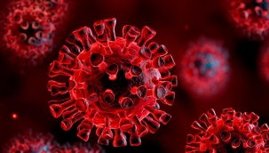 Son Dakika: Kayseri Melikgazi'de Bina içi ve dışı çocuk oyun alanları kullanımı yasaklandı! Meydan ve Hunat'ta ki çay ocakları 15 gün kapalı