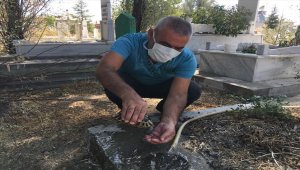 Susuzluktan bitkin düşen kaplumbağaya eliyle su içirdi