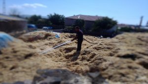 Tomarza'da 850 saman balyası yandı
