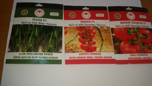 Ulaş'ta çiftçiye yerli ve milli sebze tohumu desteği