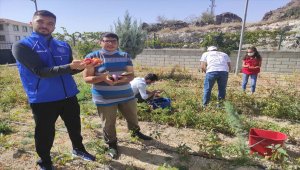 Yetiştirdikleri sebzeleri ihtiyaç sahiplerine ulaştırıyorlar