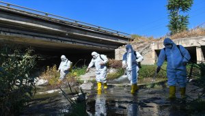 ABB Ankara Çayı'nda biyolojik temizlik başlattı