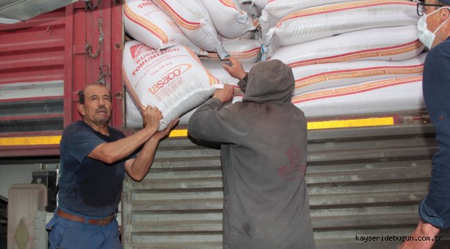 Beypazarı çiftçisine Ankara Büyükşehir Belediyesinden "buğday alım garantili" tohum desteği