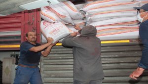 Beypazarı çiftçisine Ankara Büyükşehir Belediyesinden "buğday alım garantili" tohum desteği