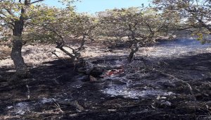 Beypazarı ilçesinde çıkan orman yangını kontrol altına alındı