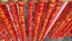 Beypazarı'nda alıç üretimi