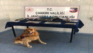 Çankırı'da uyuşturucu operasyonunda yakalanan 3 kişi tutuklandı