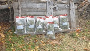 Çankırı'da uyuşturucu operasyonunda yakalanan 7 zanlıdan 1'i tutuklandı