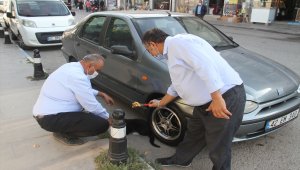 Çıktığı ağaçtan inemeyen kediyi itfaiye ekipleri kurtardı