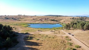 Hazım Dağlı Tabiat Parkı doğaseverlerin ilgisini çekiyor 