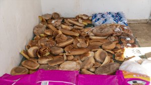 Kahramankazan'da aylık 650 kilo bayat ekmek sokak hayvanlara mama oluyor 