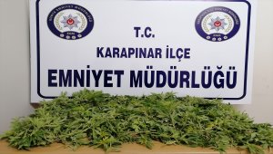 Karapınar'da 820 kök Hint keneviri ele geçirildi