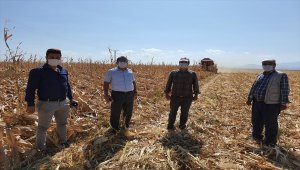 Karapınar'da fırtınada zarar gören tarım alanları incelendi