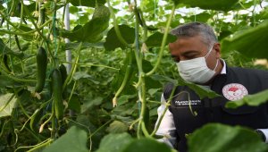 Kayseri'de "Genç Çiftçi Projesi" ile iş sahibi olan genç, yaşıtlarına örnek oluyor 