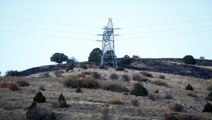 Kayseri'de ormanlık alanda çıkan yangın kontrol altına alındı