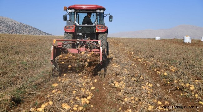 Kayseri'de patates hasadına başlandı