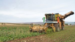 Kayseri Şeker'de "66. Pancar Alım Kampanyası" başladı